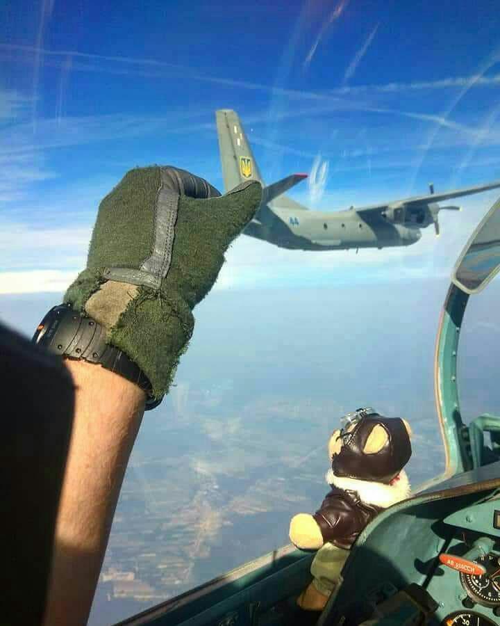 31403