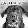 П@вел